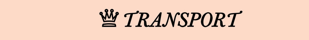 DKZSYIM Women Dance Shoes Latin Party Tango Jazz Elegant Dancing Shoes Lace-up Suede Sole Closed Toe Microfiber Leather 7 Colors