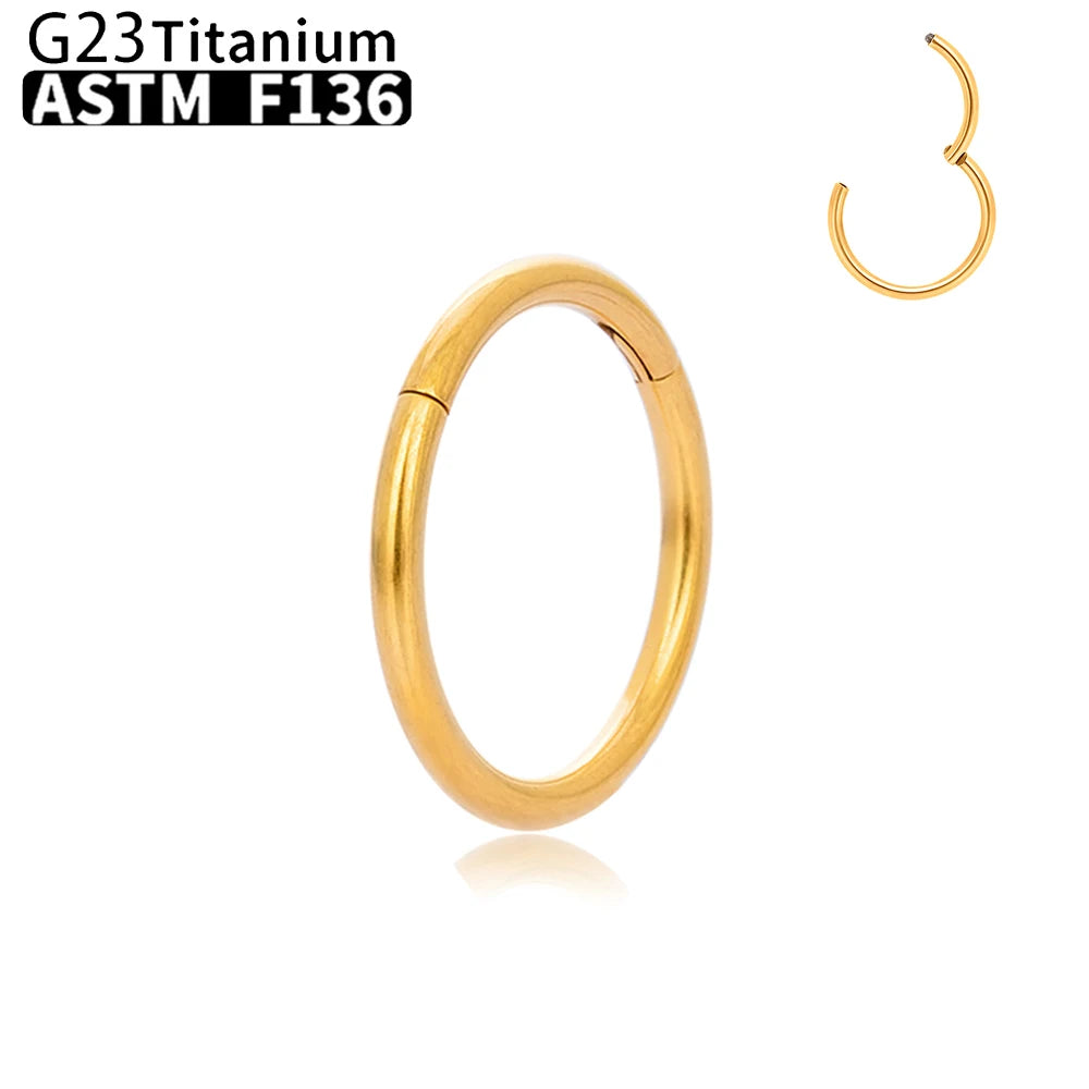Wholesale G23 Titanium Piercing Nose Ring Hoop Earring For Women Jewelry Lip Ear Ring Hoop Mixed Color Body Clips Hinge
