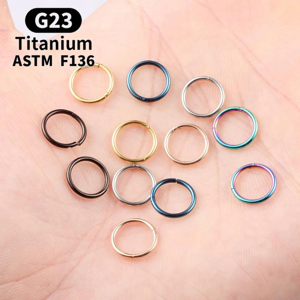 Wholesale G23 Titanium Piercing Nose Ring Hoop Earring For Women Jewelry Lip Ear Ring Hoop Mixed Color Body Clips Hinge