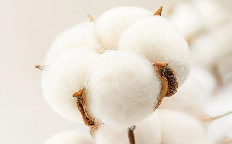 100% Cotton Flannel Shirt Men's, Plaid Casual Jacket, Anti-Wrinkle, Multi-Color Gold Quality Long-Staple Cotton S-4XL