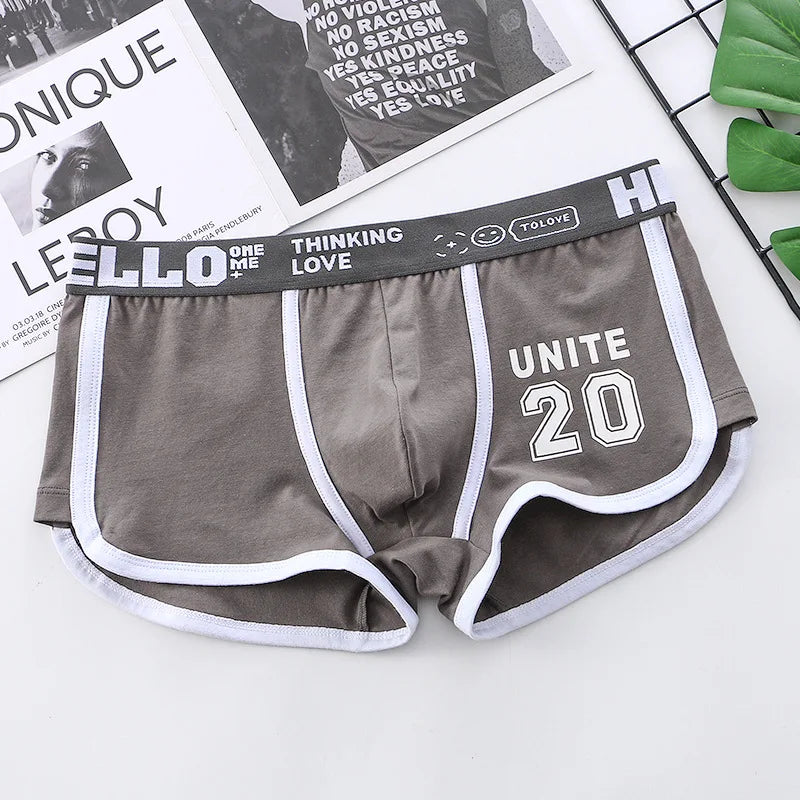 1/3/4 PCS Men's Underwear Boxer Shorts Sexy Panties Cotton Boxers Sports Comfort Man Underpants Shorts Homme U Convex Lingerie