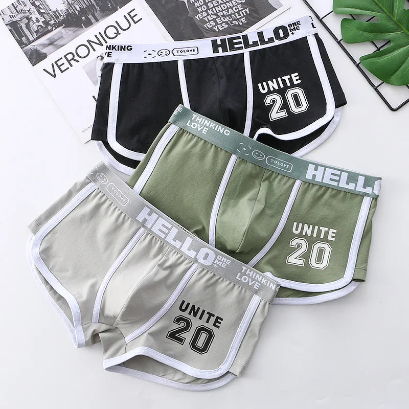 1/3/4 PCS Men's Underwear Boxer Shorts Sexy Panties Cotton Boxers Sports Comfort Man Underpants Shorts Homme U Convex Lingerie