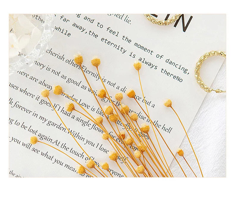 Basic Men's Long-Sleeve Cotton Shirt - Casual and Versatile Spring Style 100% Cotton Solid Color Casual Shirt