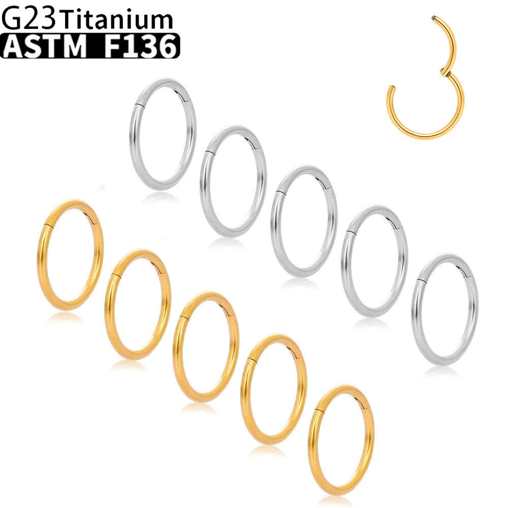 Wholesale G23 Titanium Piercing Nose Ring Hoop Earring For Women Jewelry Lip Ear Ring Hoop Mixed Color Body Clips Hinge