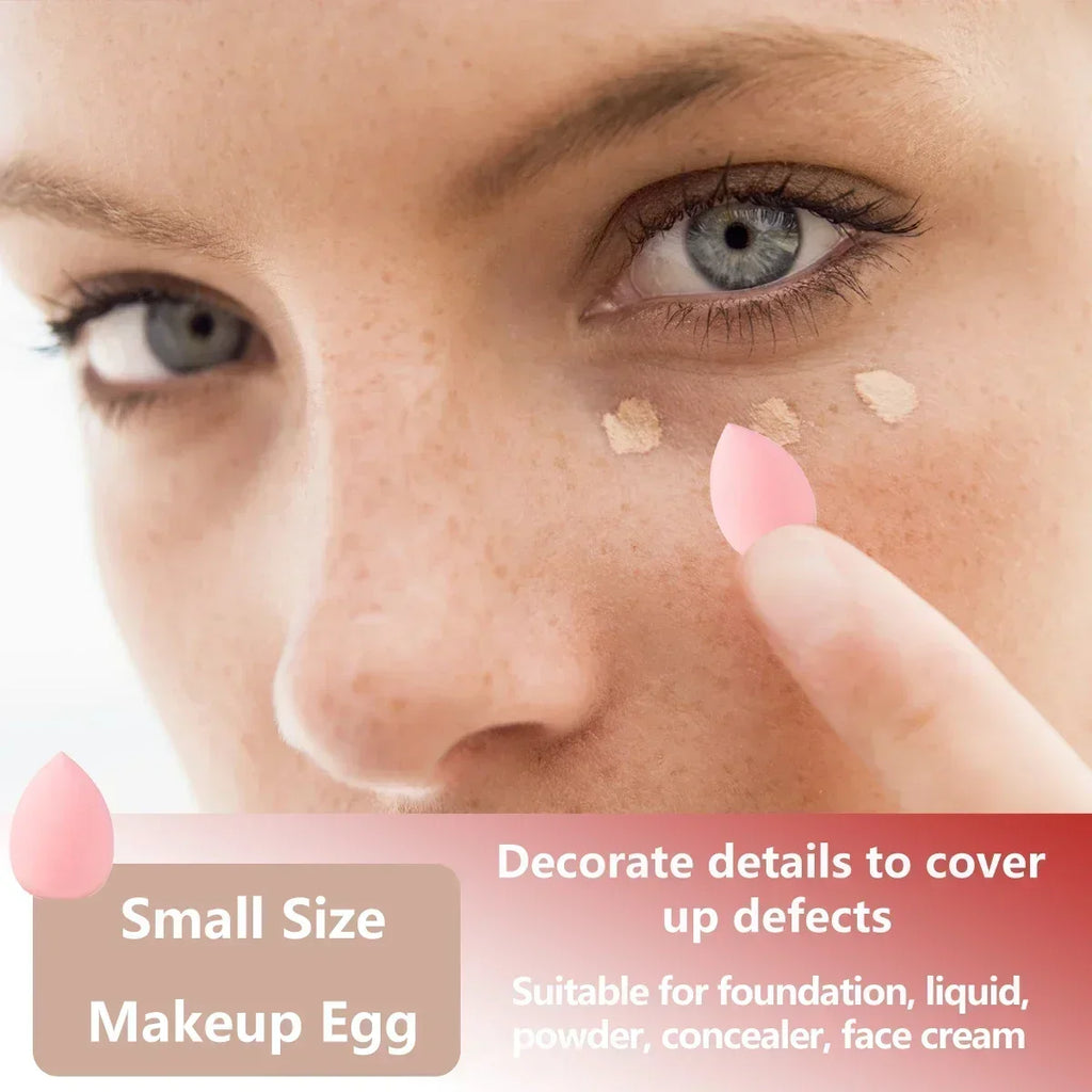 13/33pcs Professional Makeup Brush Set with Accessories for Combination Skin- Featuring Soft Brushes，Suitable for Beginners