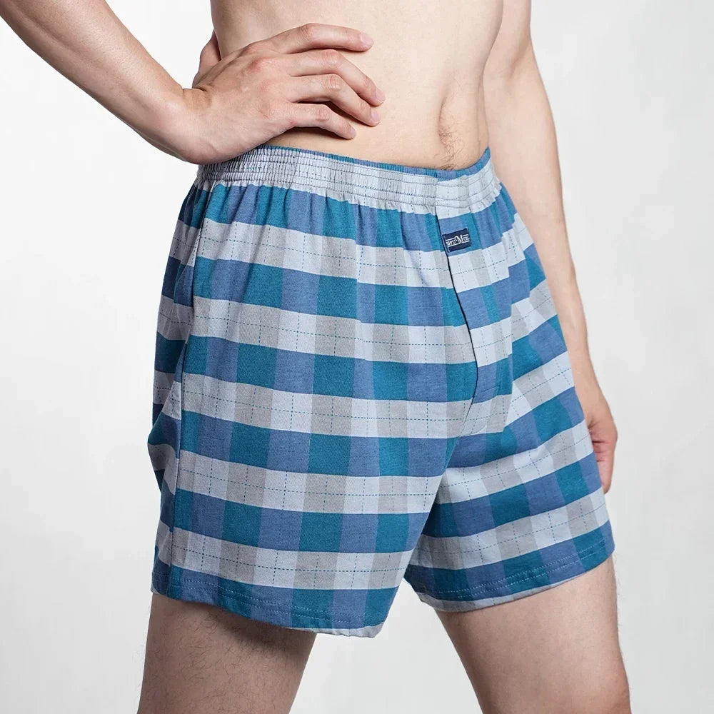 2024 Men's 100% Cotton Boxer Shorts Foreskin Underwear High Waist Big Underpants Casual Plaid Plus Size Aro Alo Allo Pants M-3XL