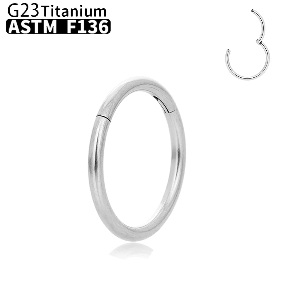 Wholesale G23 Titanium Piercing Nose Ring Hoop Earring For Women Jewelry Lip Ear Ring Hoop Mixed Color Body Clips Hinge